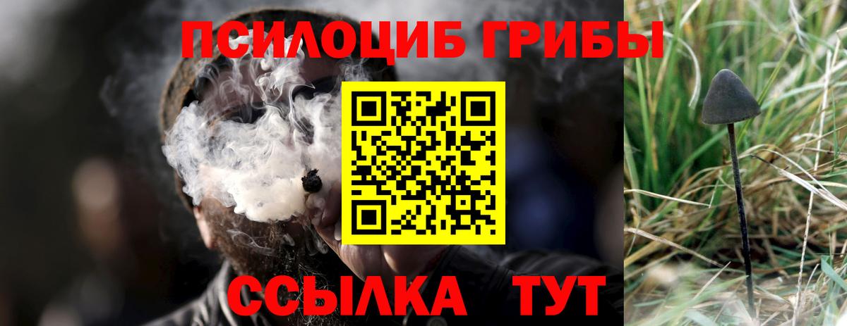 Псилоцибиновые грибы GOLDEN TEACHER Ижевск